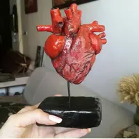 ماکت قلب آناتومیک با پایه رومیزی