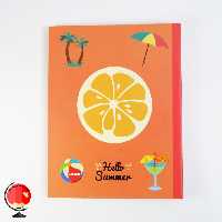 دفتر کلاسوری 100 برگ طرح تابستان آپادانا