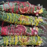 اسماج 10 گیاه حداقل سفارش دو عدد