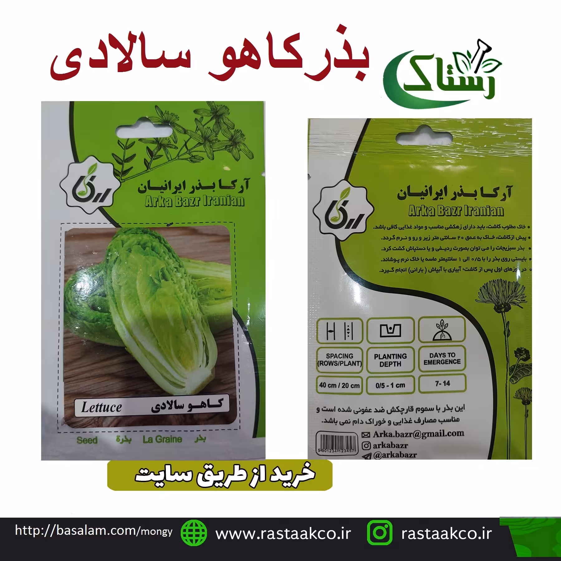 بذروتخم کاهو سالادی تبریز رستاک (10گرمی)