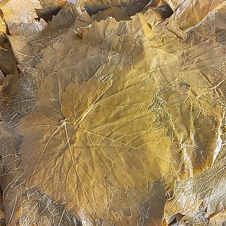 برگ میم دلمه شوری