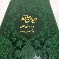 حافظ پالتویی ترمو داخل رنگی بافال