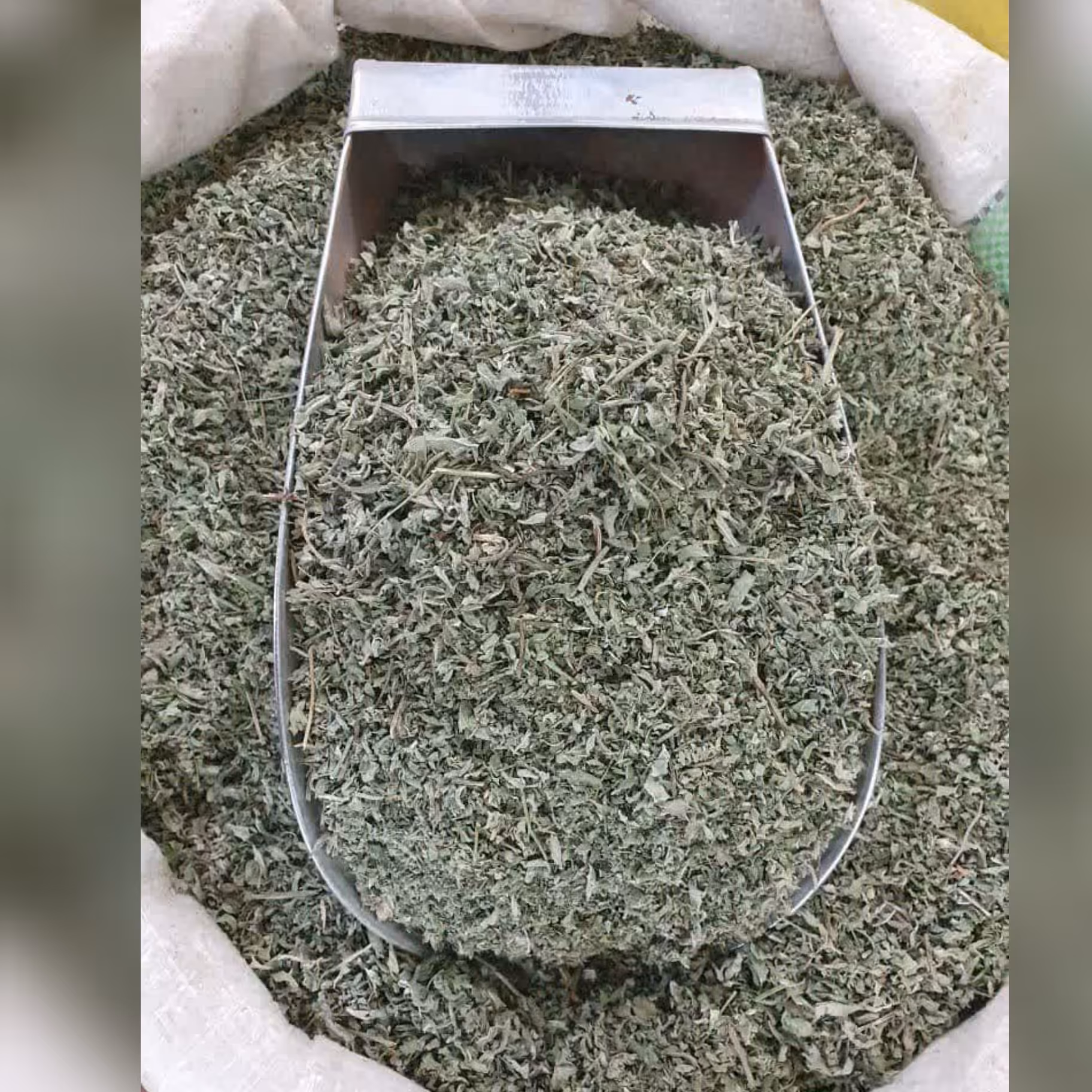 پونه کوهی خشک 50 گرم