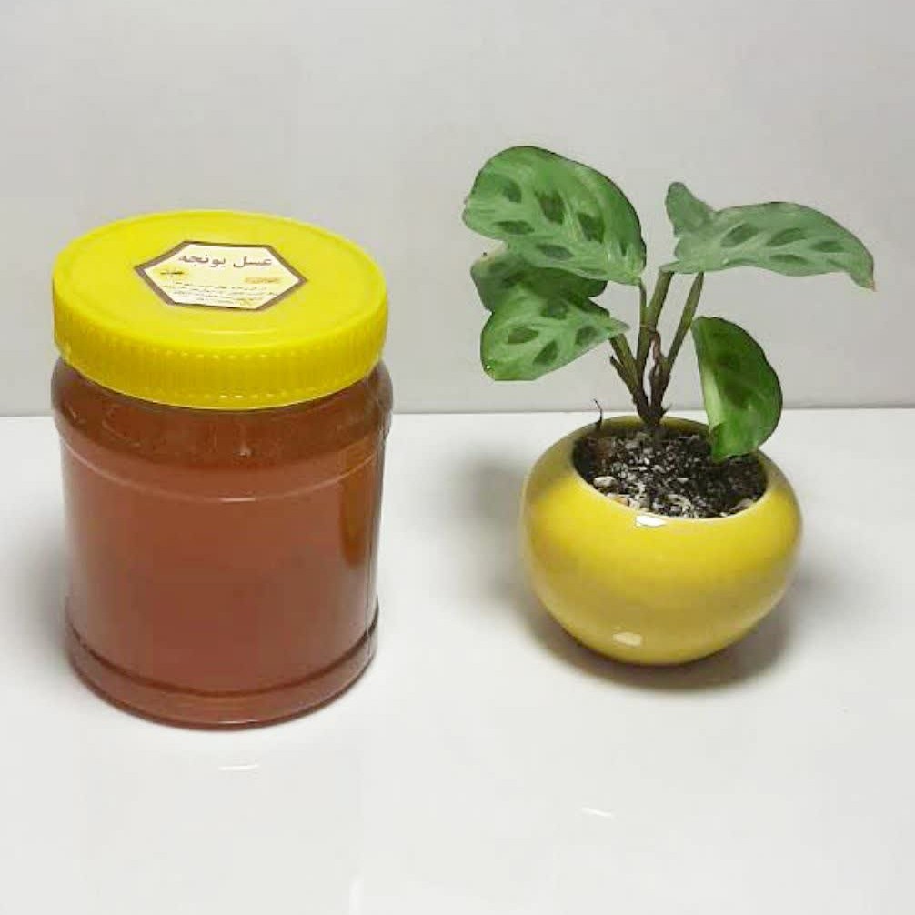 عسل یونجه 1 کیلویی