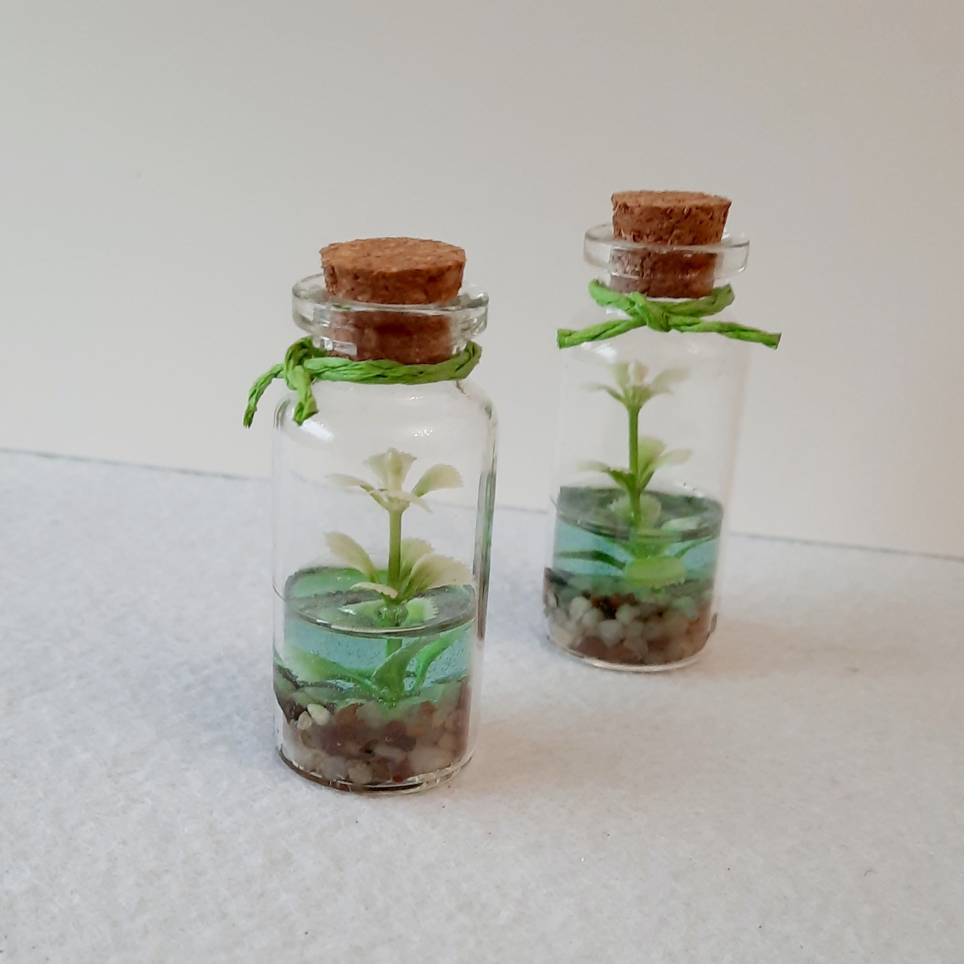 گیفت رزینی شیشه آرزوها مدل برکه مناسب برای هدیه و استفاده به عنوان دکوری