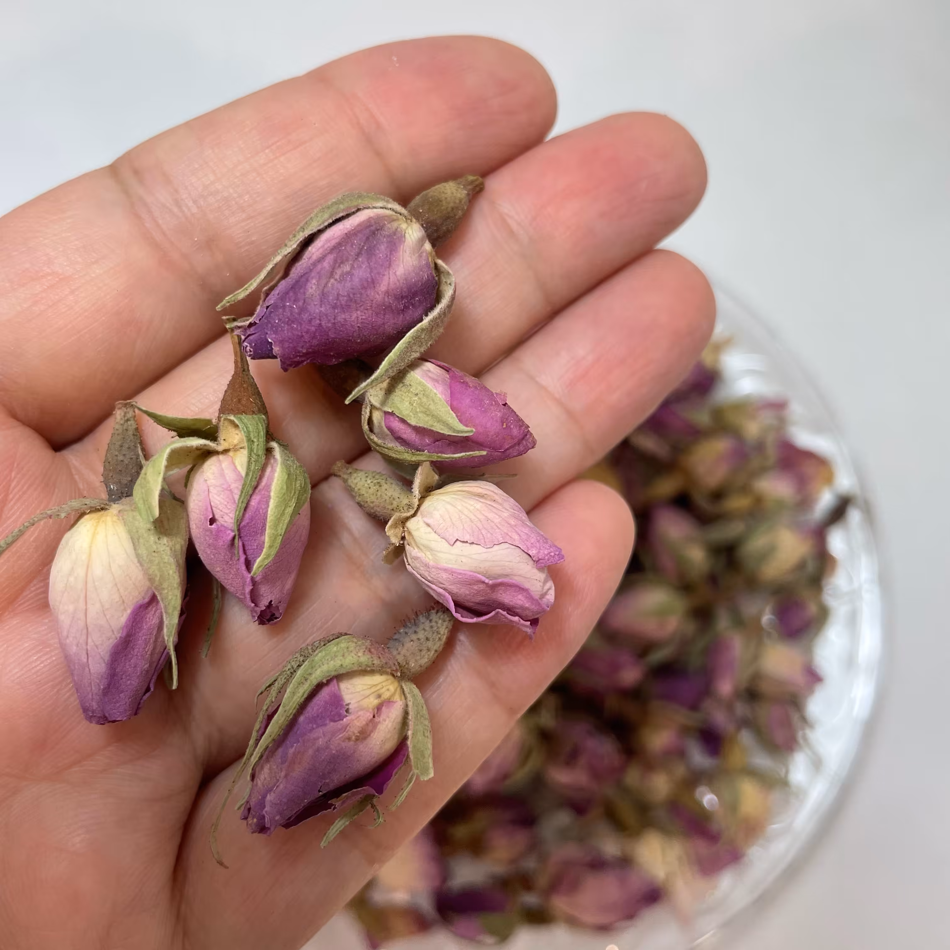 غنچه گل محمدی خشک معطر 10 گرمی