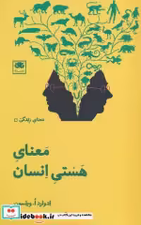 قیمت و خرید کتاب معنای هستی انسان شمیز،پالتویی،لگا | ایده بوک