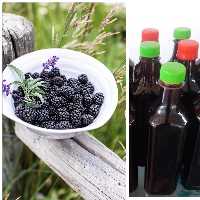 محصول جدید: شربت تمشک جنگلی مازند مزرعه(700 گرمی)