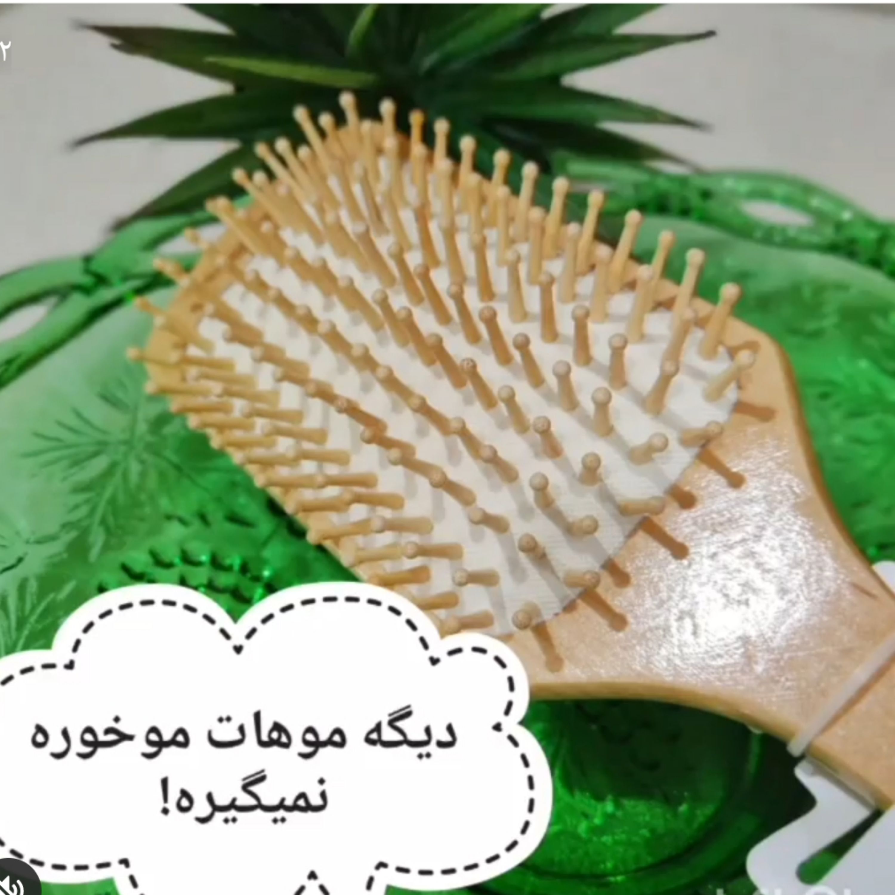 برس بامبو چوبی ضد موخوره محصول امارات