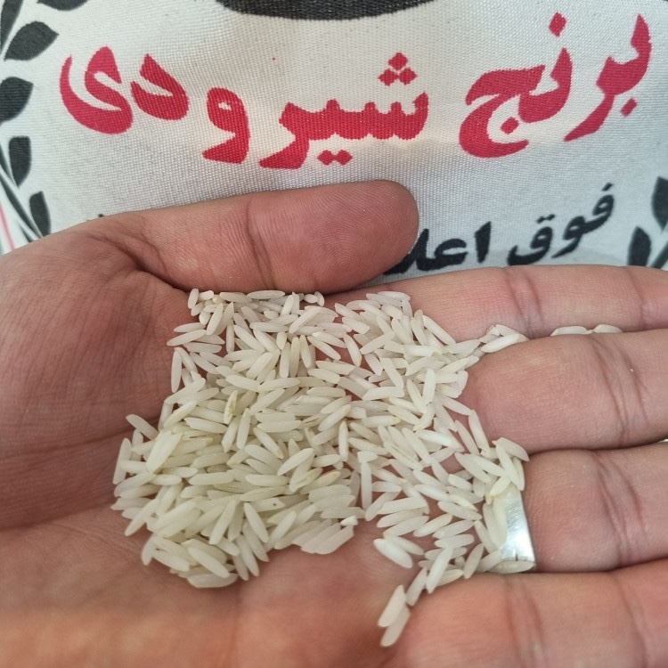 برنج شیرودی فوق اعلا 10کیلویی