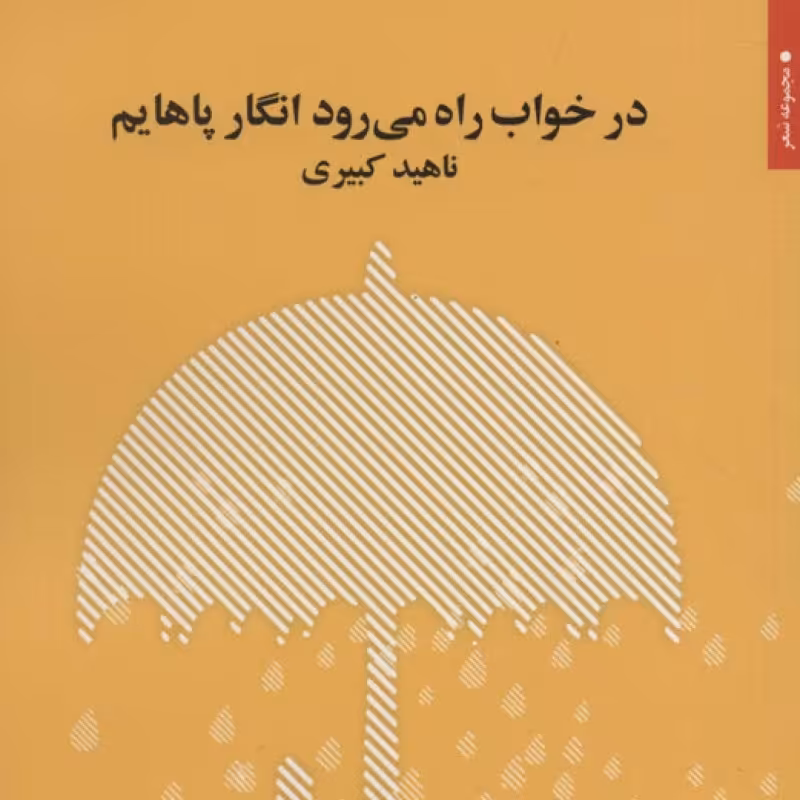 کتاب در خواب راه می رود انگار پاهایم