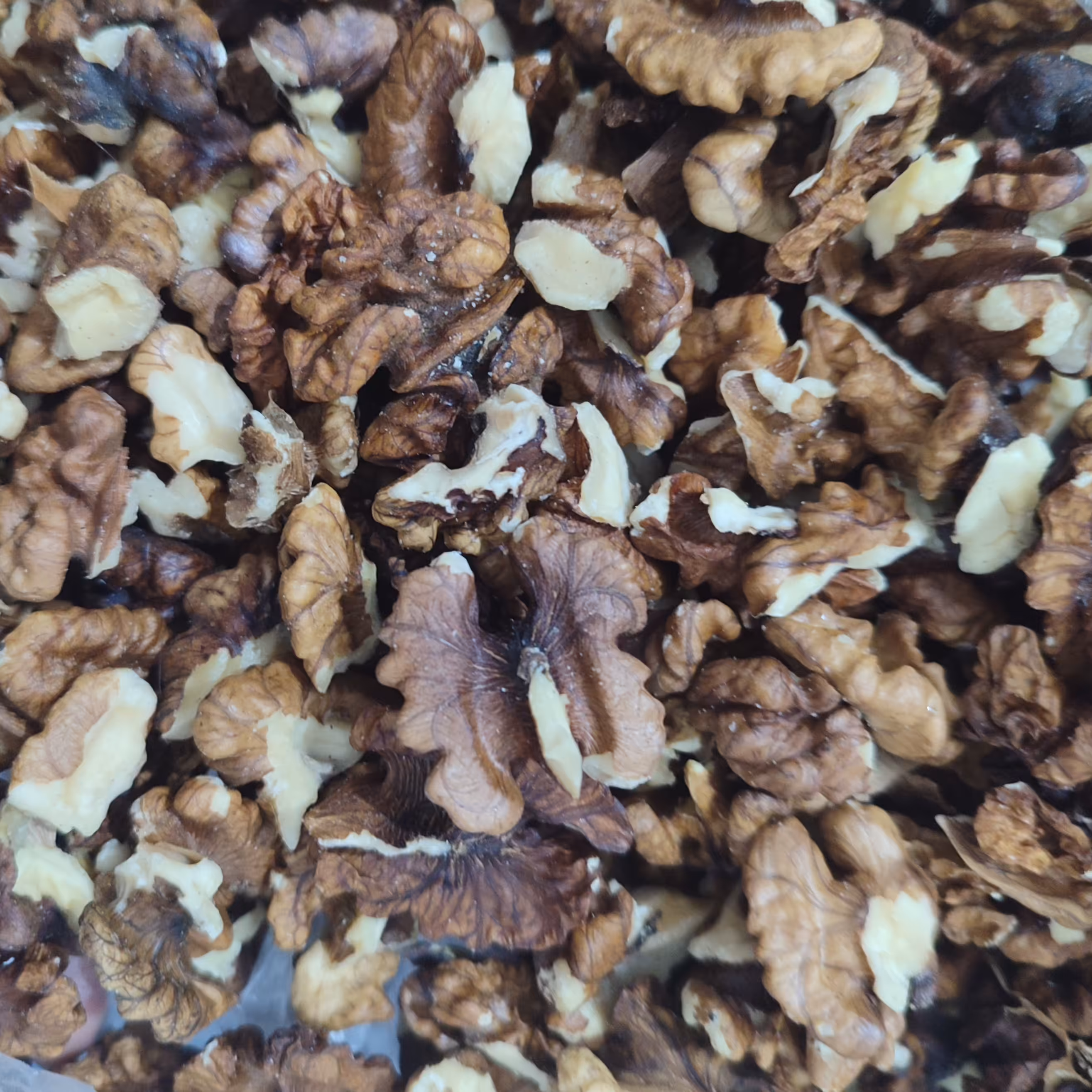 مغز گردوی فسنجونی امسالی درجه یک 1402