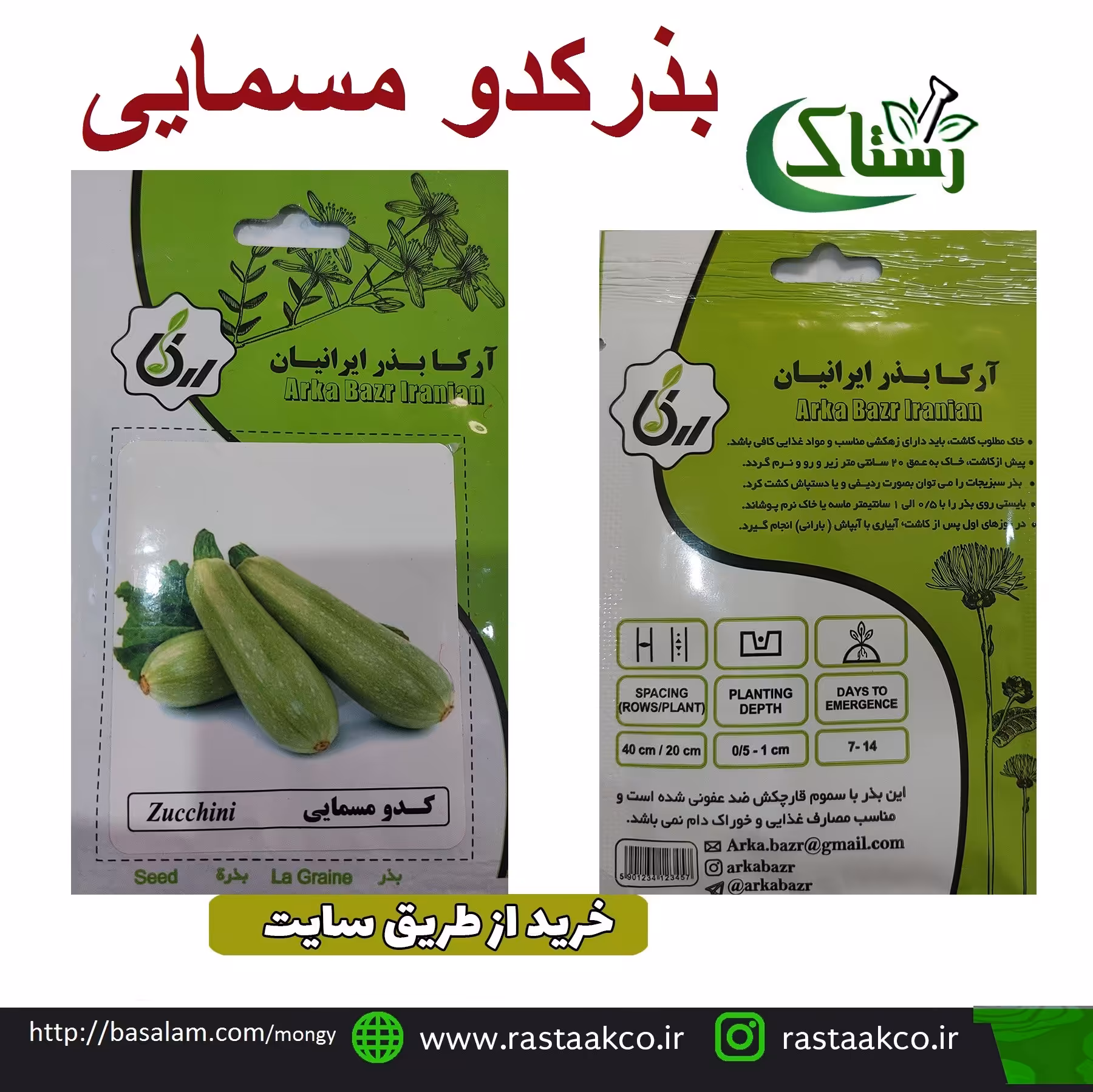 بذروتخم کدو مسمایی تبریز رستاک (10گرمی)