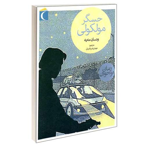 حسگر مولکولی نشر محراب قلم (13628)