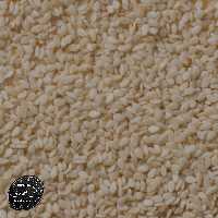 کنجد هندی درجه یک( ارسال رایگان ) تمیز و فوق العاده ( کیفیت عالی ) 100 گرمی