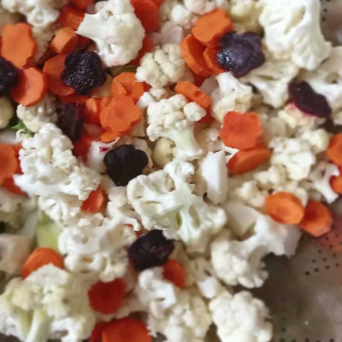 شور مخلوط درشت پت 10 کیلویی