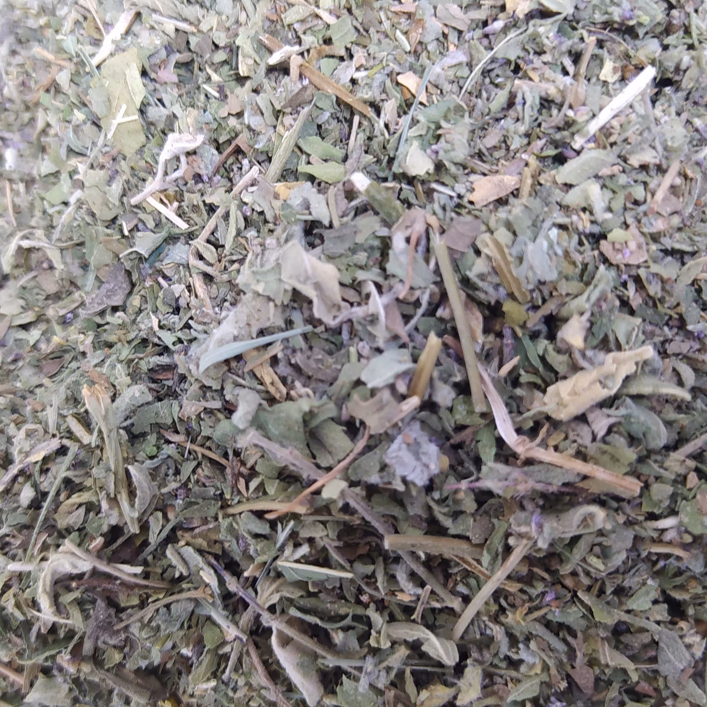 پونه کوهی تمیز و تازه  100 گرمی خوش عطر و سبز  