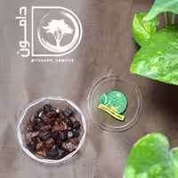 میوه حبه ای ترش 100گرمی دامون