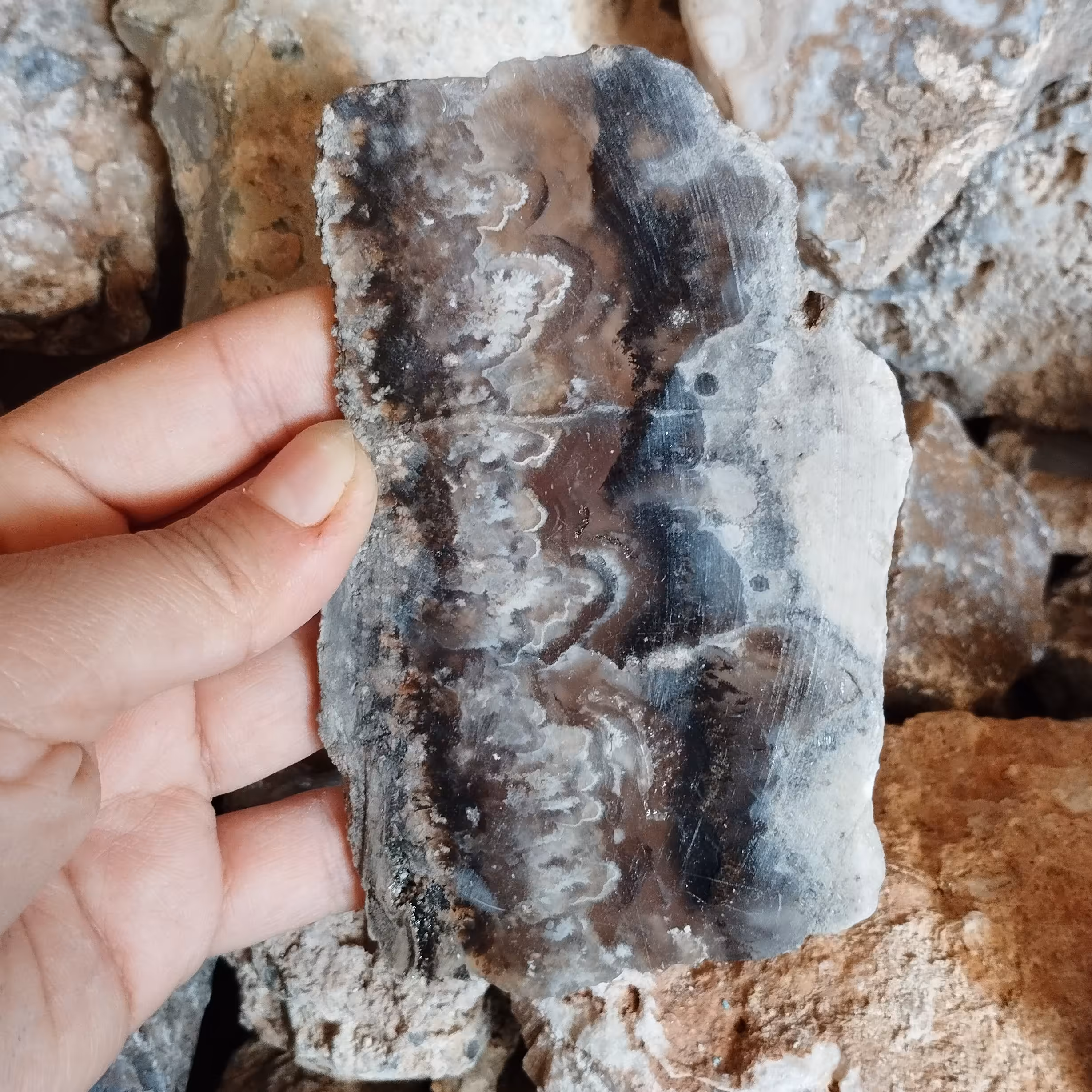 اسلایس عقیق شجر اصل با درختچه های واضح، کمیاب معدنی و اصل مناسب برای دکور یا ساخت نگین با خواص عقیق براق شده