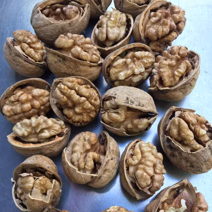 گردو باپوست پیازی نازک تویسرکان1000 گرم