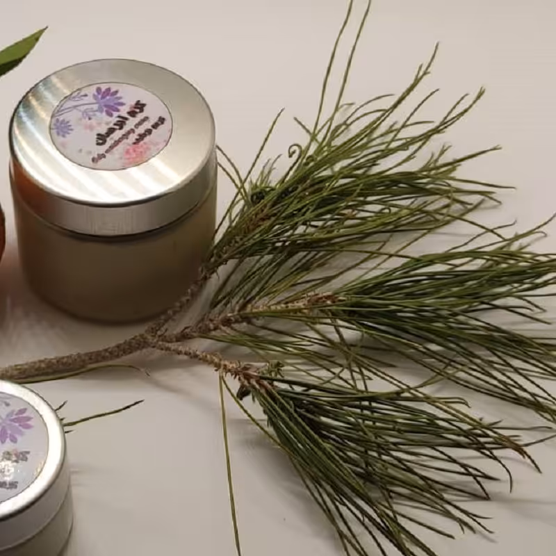 کرم آبرسان بزرگ