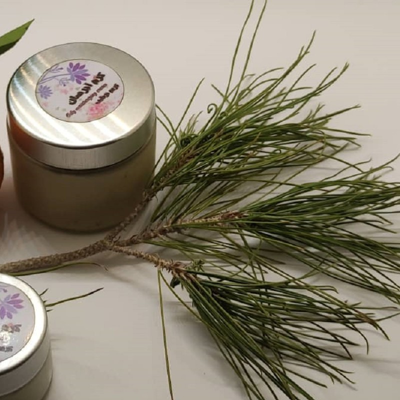 کرم آبرسان بزرگ