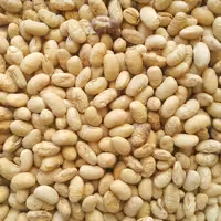 سویا آجیلی نمکی (کارتن 15 کیلویی)