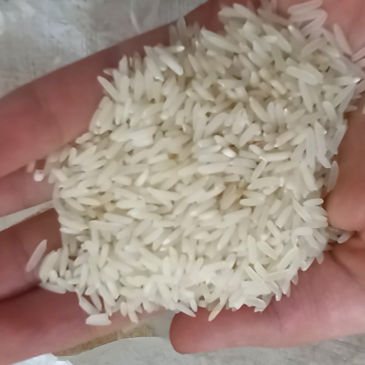برنج هاشمی