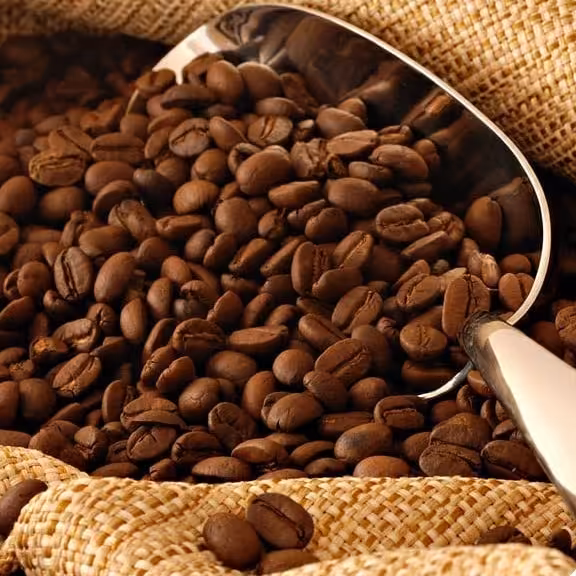 دان قهوه اسپرسو 100درصد عربیکا 500گرمی