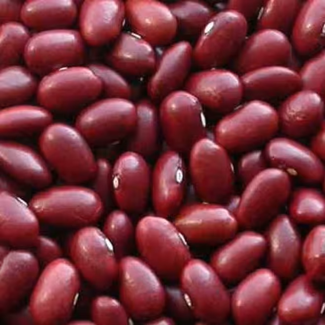 لوبیا قرمز