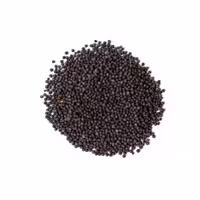 دانه خردل سیاه هندی