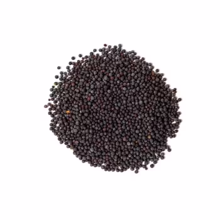 دانه خردل سیاه هندی