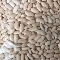 لوبیا رشتی ( کشاورزی ) پاک شده بهداشتی، ممتاز و اعلا،وزن حبوبات یک کیلویی