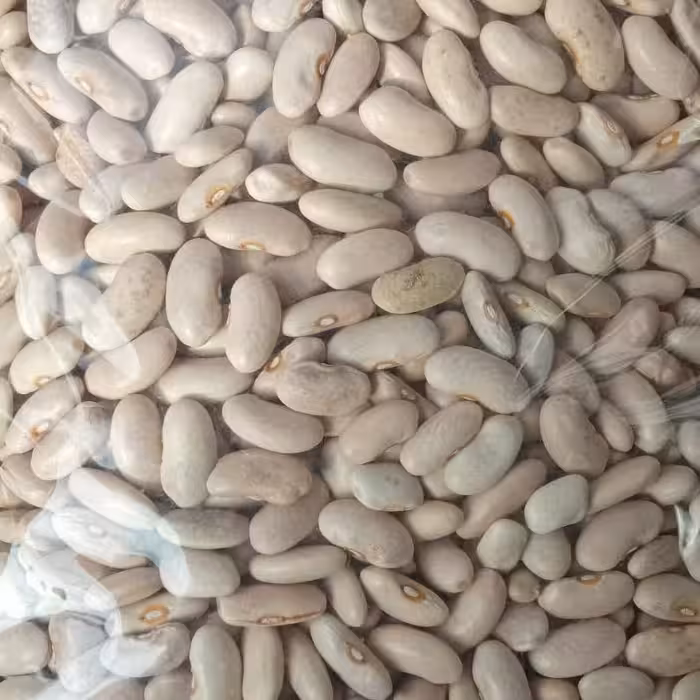 لوبیا رشتی ( کشاورزی ) پاک شده بهداشتی، ممتاز و اعلا،وزن حبوبات یک کیلویی