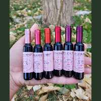 تینت لب شرابی پیگمنت عالی در 6 رنگ کاربردی و عالی با ماندگاری بالا