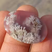 نگین شجر شکوفه زمینه سوسنی تراش خاص با درخت های بسیار واضح و خوش رنگ شاهکار خلقت و تکرار نشدنی پولیش آینه ای

کد 8580