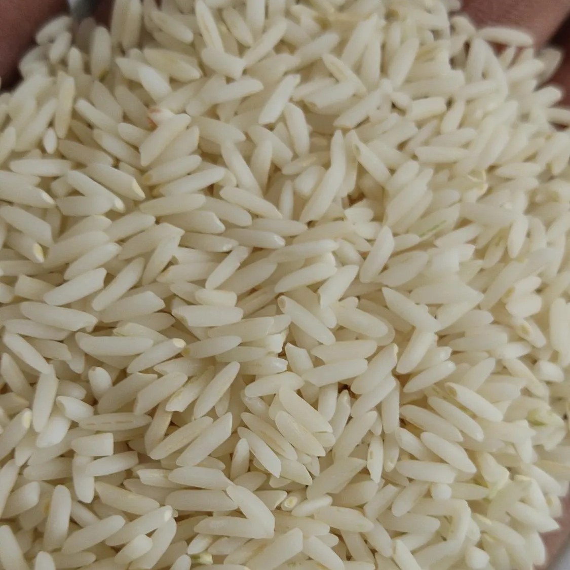 برنج ممان میانه خالص  10کیلوی