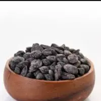 تخمه آفتابگردان روغنی