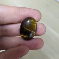 چشم ببر کد53