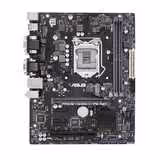 مادربرد ایسوس PRIME H310M-C/PS R2.0 | فروشگاه اینترنتی هدیش
