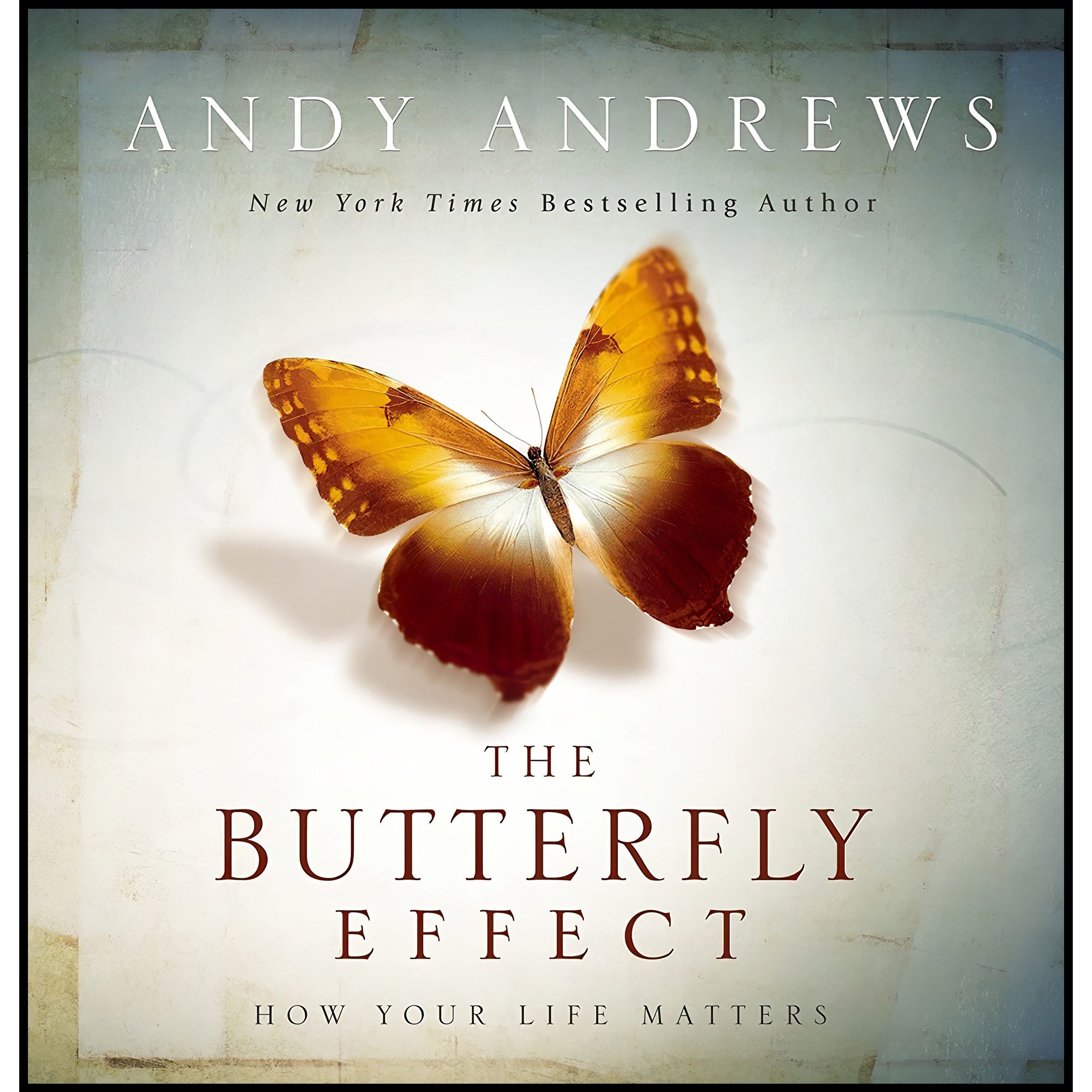 کتاب زبان اصلی The Butterfly Effect اثر Andy Andrews انتشارات Thomas Nelson