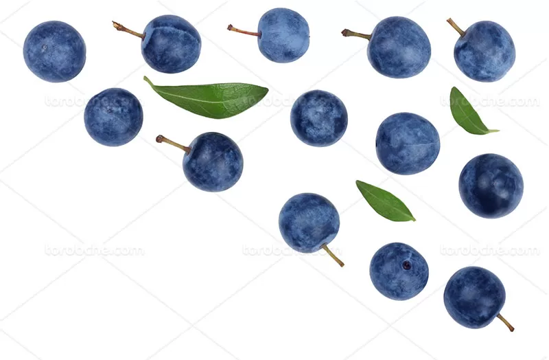 عکس با کیفیت بلوبری | گرافیک با طعم تربچه