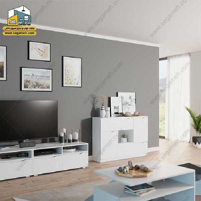 کنسول کد ZP21 - فروشگاه سه گامه