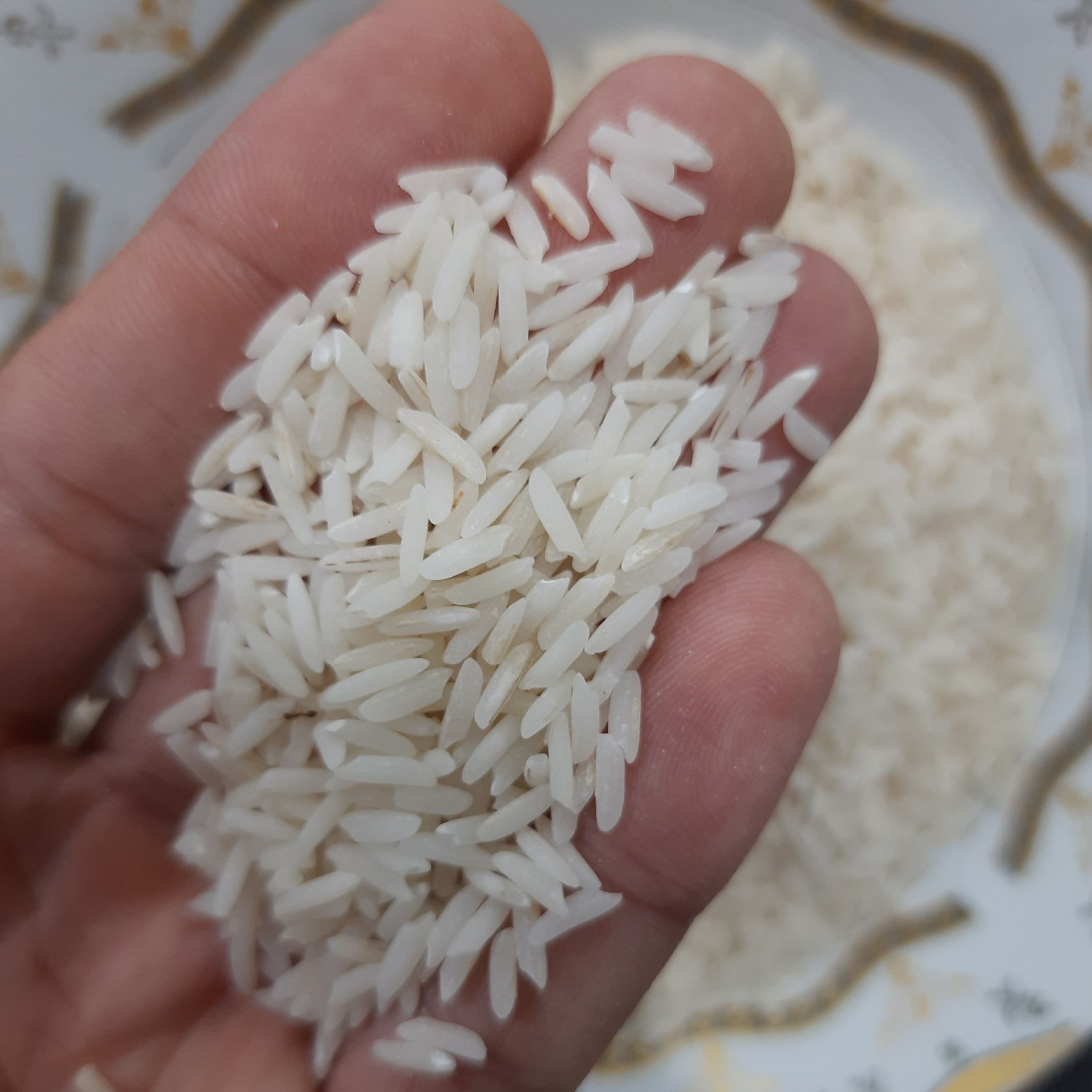 برنج هاشمی (5کیلویی)برداشت امسال دانه بلند خوش عطر