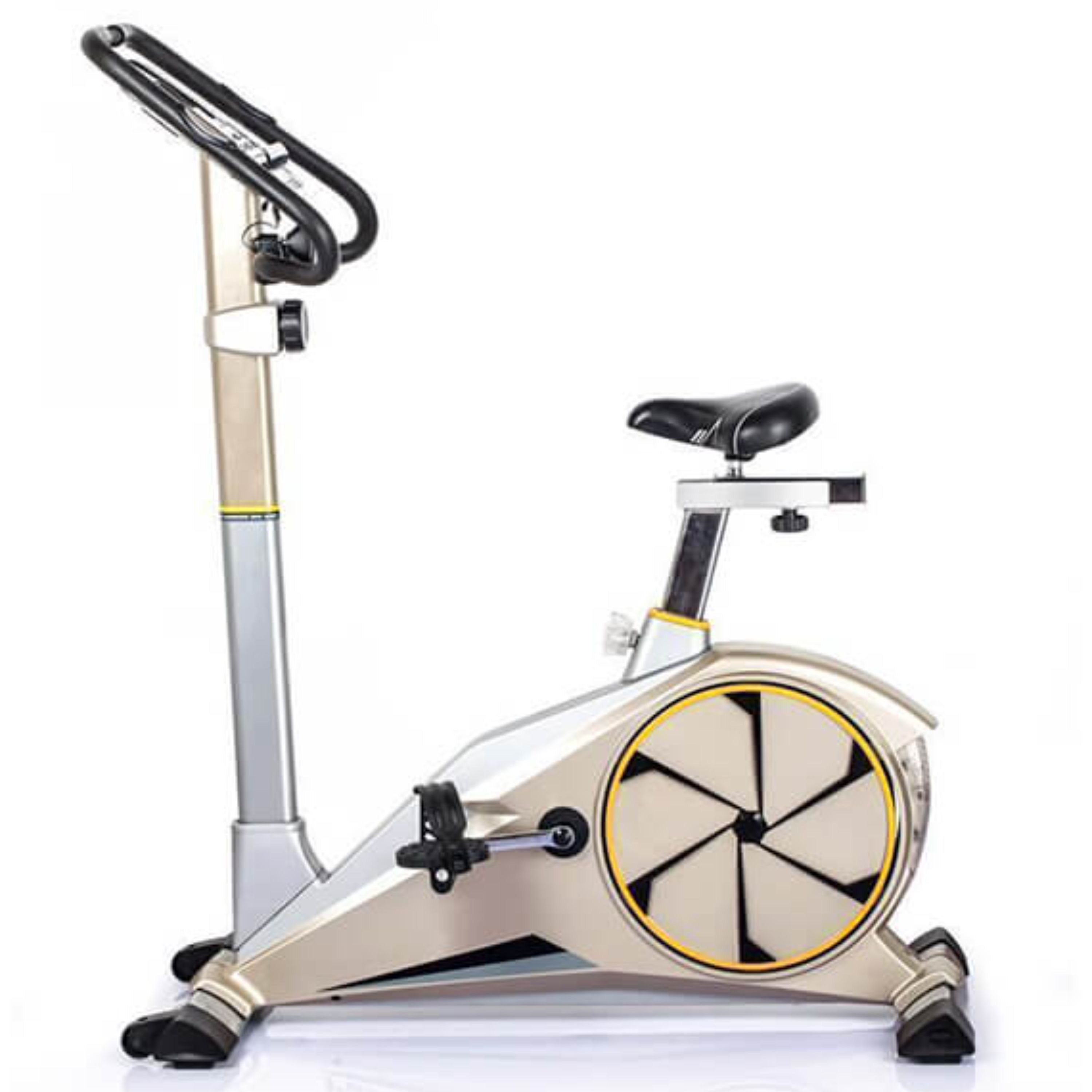 دوچرخه ثابت خانگی تایگر اسپرت G100 با مناسب ترین قیمت