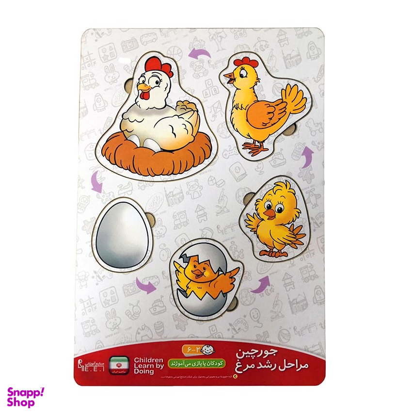 جورچین مراحل رشد جوجه صنایع آموزشی