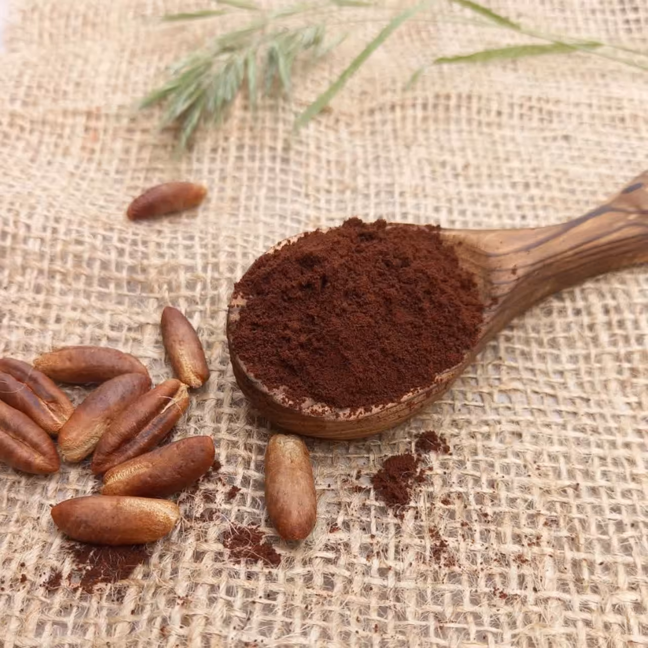 قهوه هسته خرما