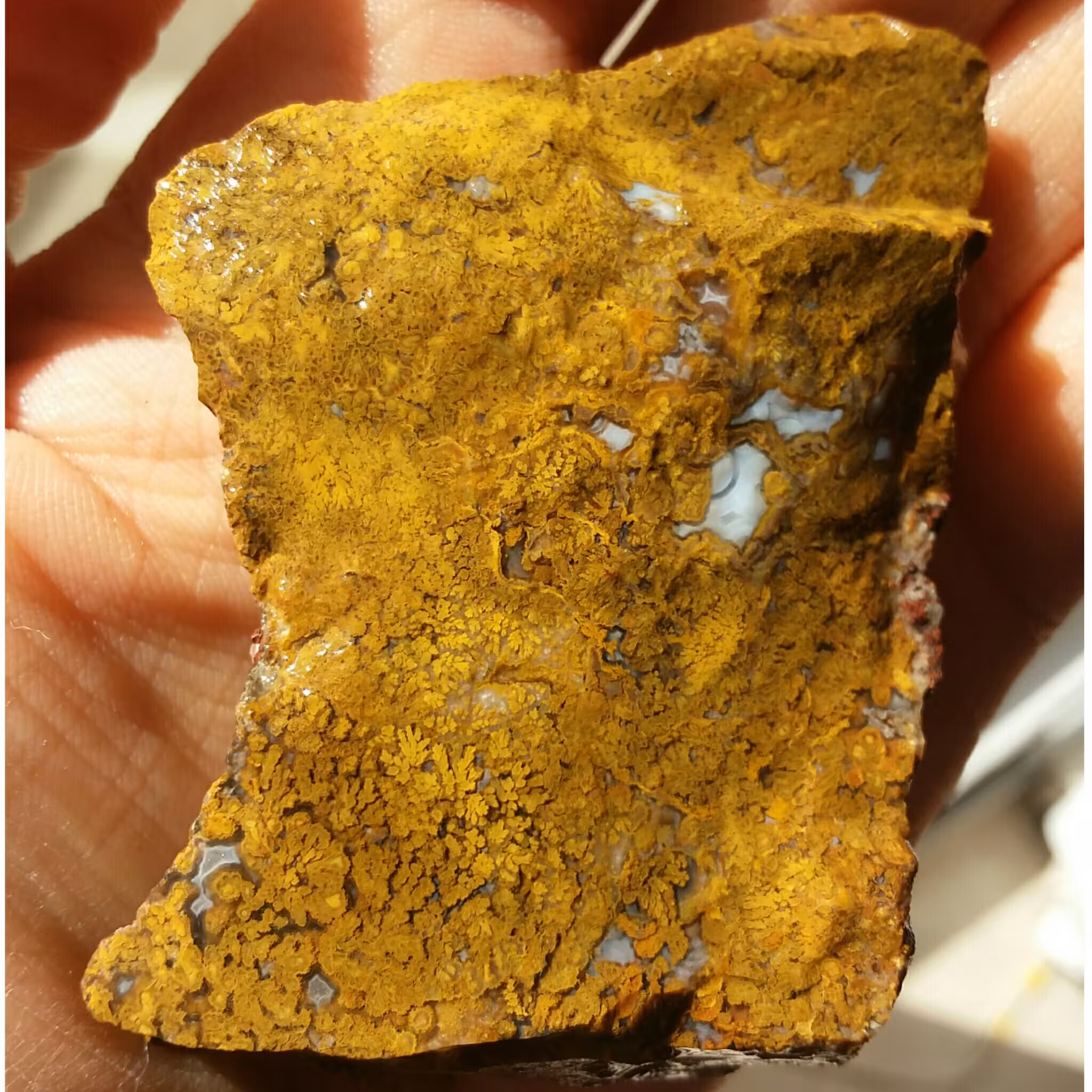 سنگ راف شجر پاییزی منظره محشر شاهکار خلقت دیدنییییی کاملا طبیعی
تابلو نقاشی طبیعی
منحصر به فرد