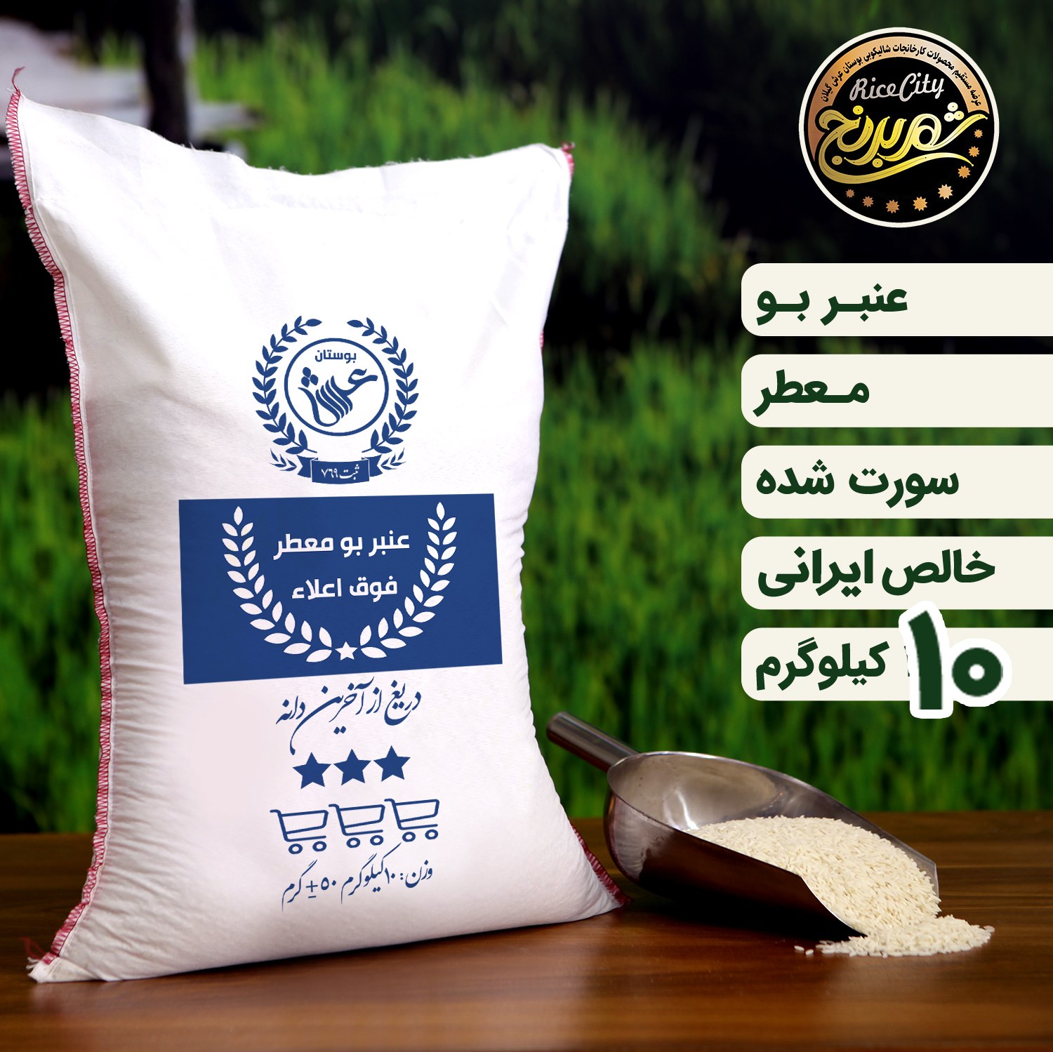 برنج عنبر بو اعلا جنوب 10 کیلویی(تضمین کیفیت)