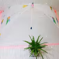 پشه بند نوزاد4میل